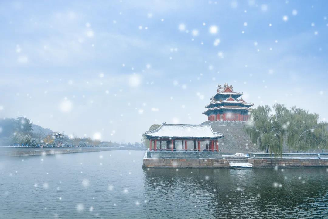 1643074919744324.jpeg 1643074919744324.jpeg